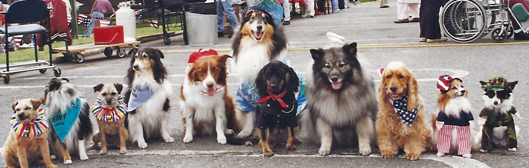 Therapy Dogs International